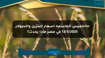 «الخميس الحاسم» أسعار البنزين والسولار 13/5/2025 في مصر ماذا يحدث؟